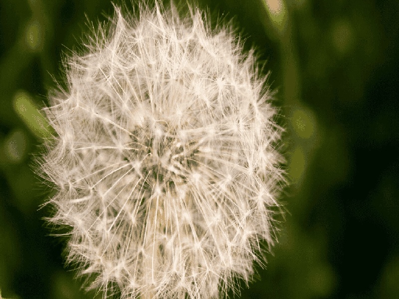 301试管首次检查,8次试管女星